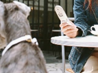 携帯から診察順番を取っている様子