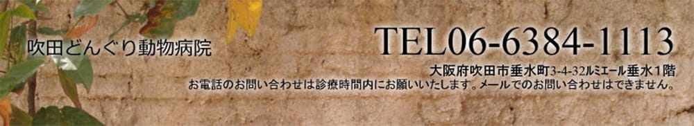 インフォメーションバナー