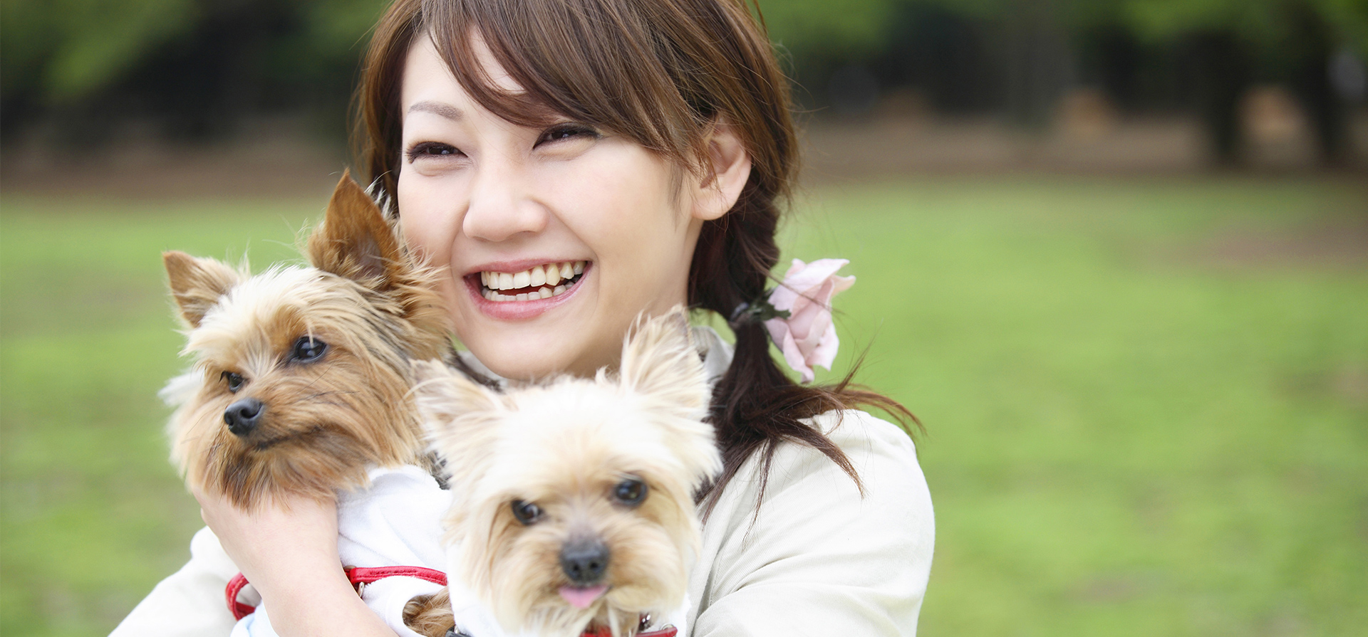 吹田どんぐり動物病院