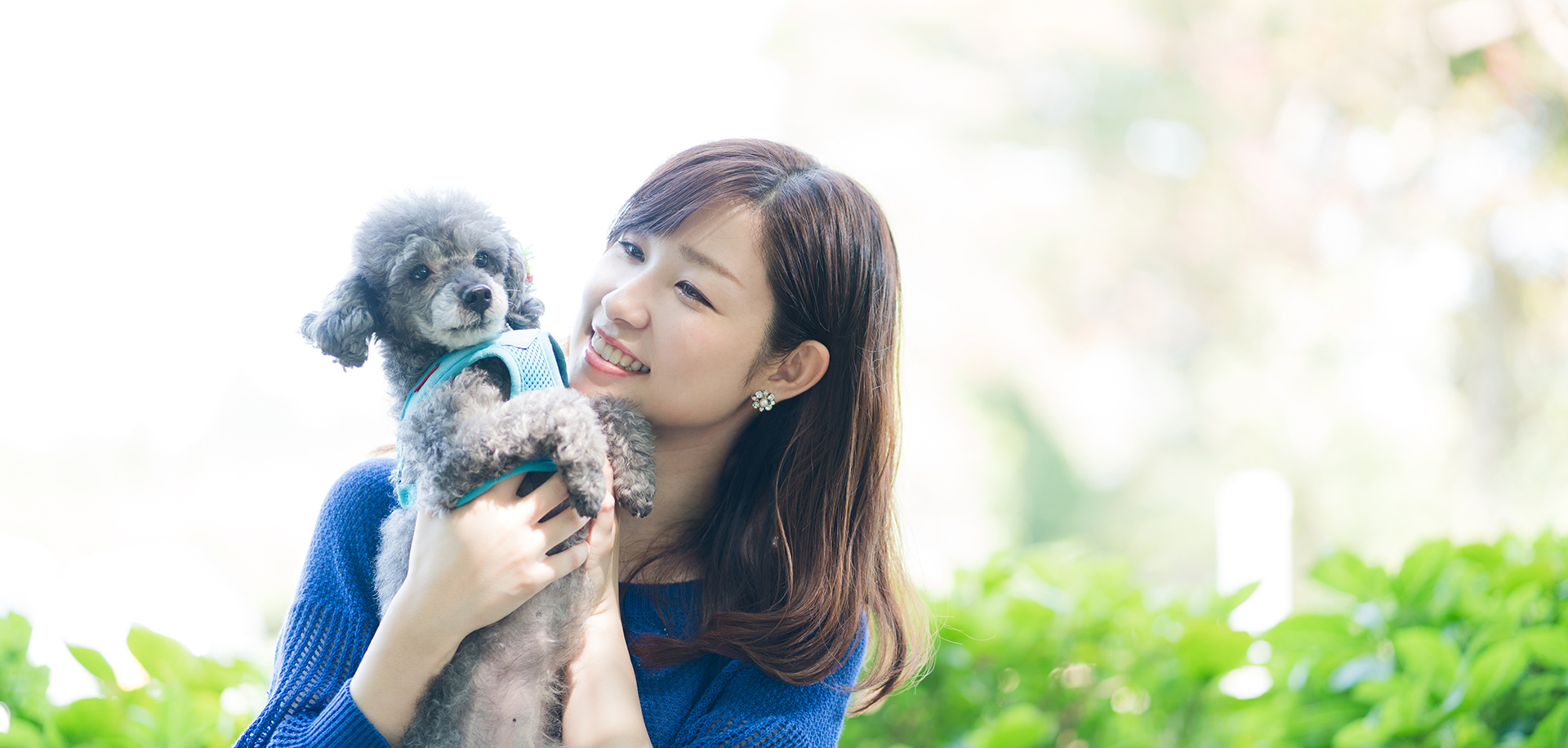 吹田どんぐり動物病院