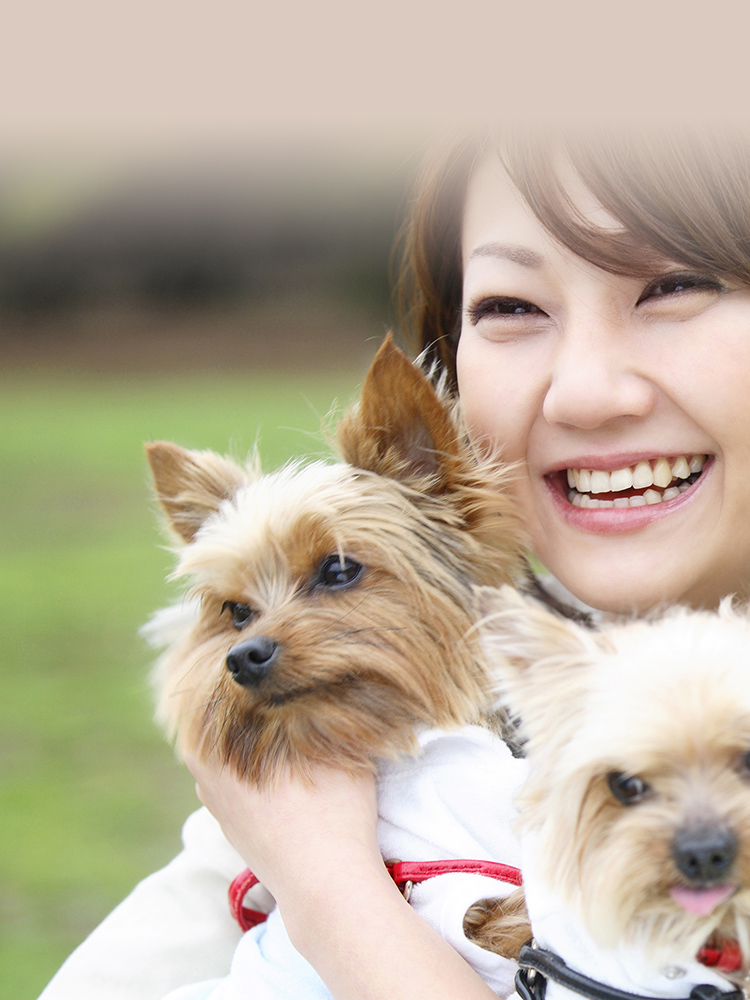 吹田どんぐり動物病院